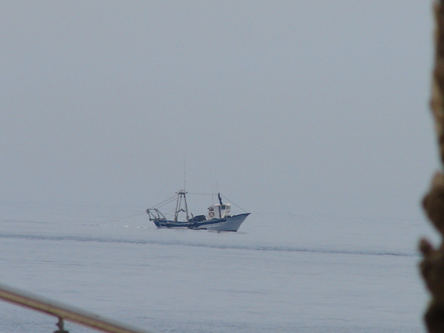 El Gobierno prepara un proyecto de sanciones por Malvinas y evalúa incluir la pesca