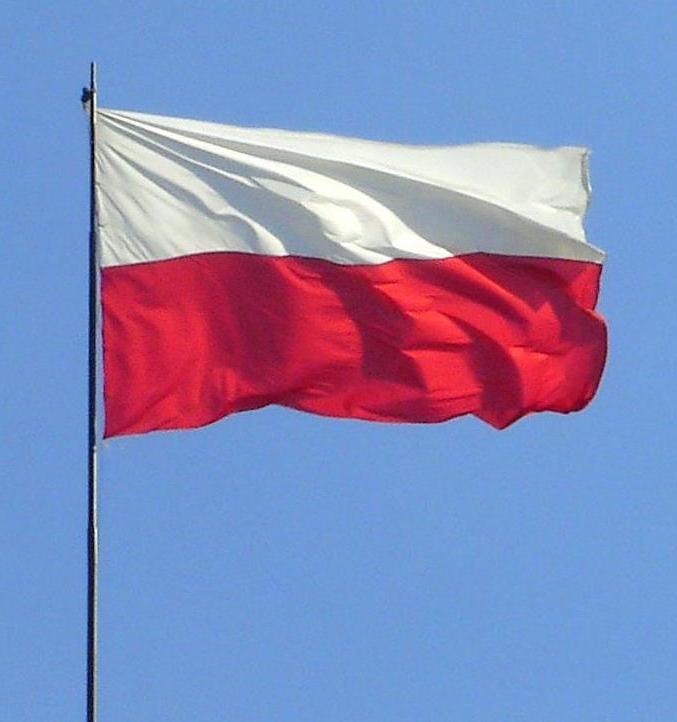Polonia se prepara para una guerra con Rusia: el Escudo Oriental y el control del aire