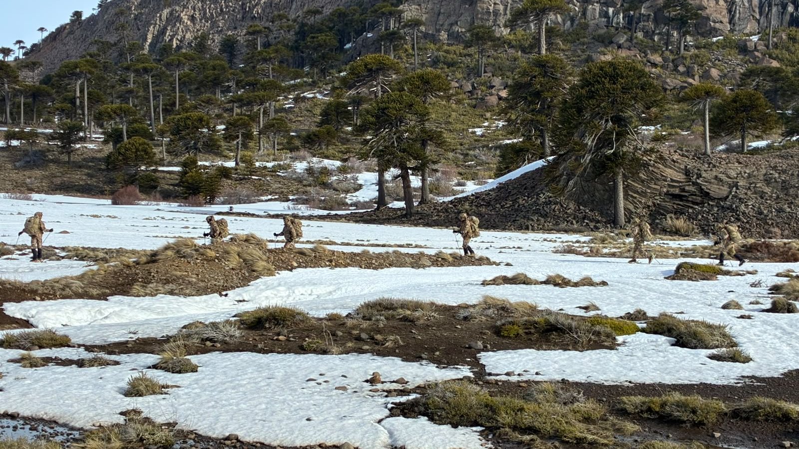 La Compañía de Comandos 601 se adiestró en montaña invernal con 30 kg de equipo y -20 °C